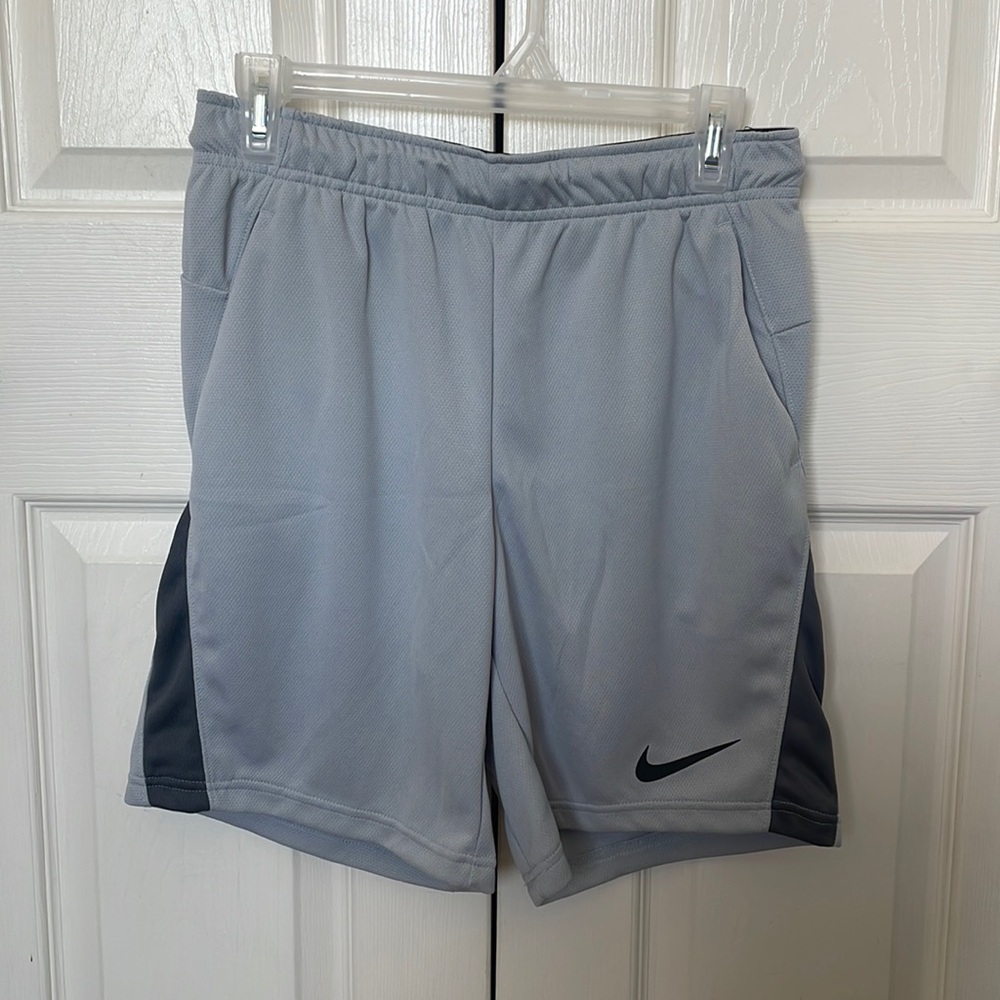 Nike Dri-Fit Shorts Light Gray Adult S